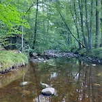 Le Brame Du Cerf Nyaraló Theux