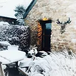 Le Brame Du Cerf *