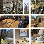 Nyaraló Le Brame Du Cerf *