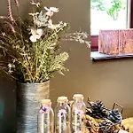 Le Brame Du Cerf Theux