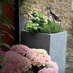 Le Brame Du Cerf Nyaraló Theux