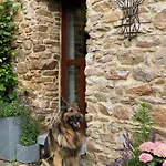 Nyaraló Le Brame Du Cerf *