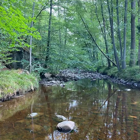 Le Brame Du Cerf Feriehus Theux