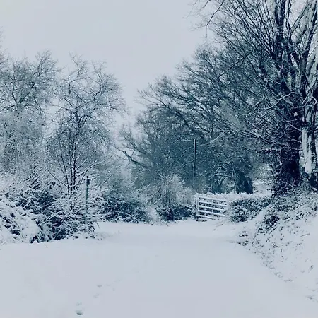 Dom wakacyjny Le Brame Du Cerf