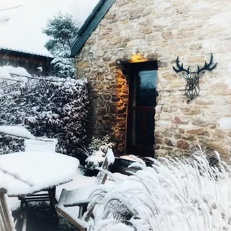Le Brame Du Cerf *