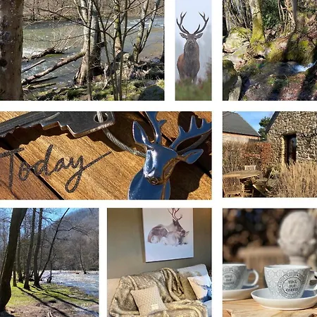 Holiday home Le Brame Du Cerf *