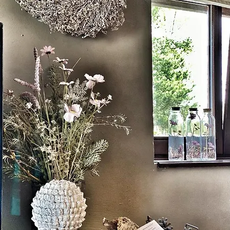 Le Brame Du Cerf * Theux