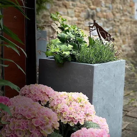 Le Brame Du Cerf Prázdninový dům Theux