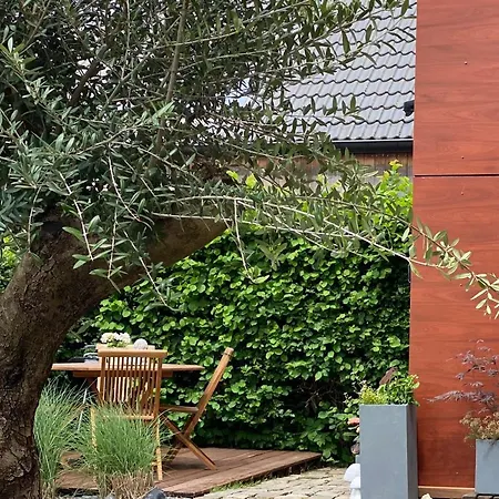 Le Brame Du Cerf Theux