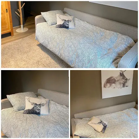 Le Brame Du Cerf * Theux