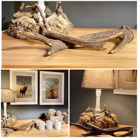 Le Brame Du Cerf Theux