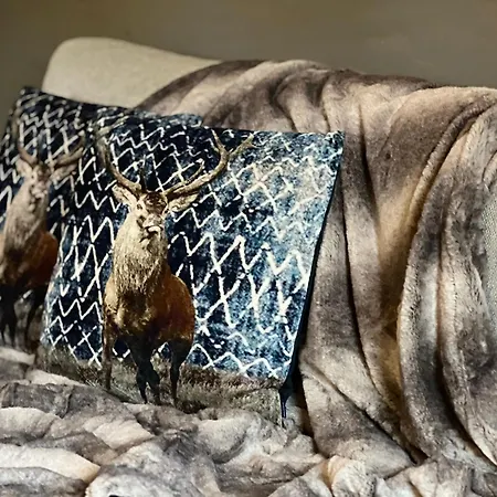 Le Brâme Du Cerf *