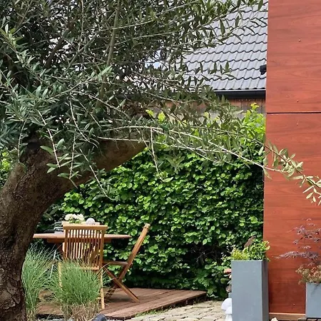 Le Brame Du Cerf * Theux